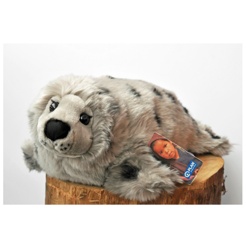 Plan L Harbour Seal Gallery 91