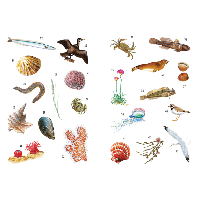 Sticker-Wissen Natur: 