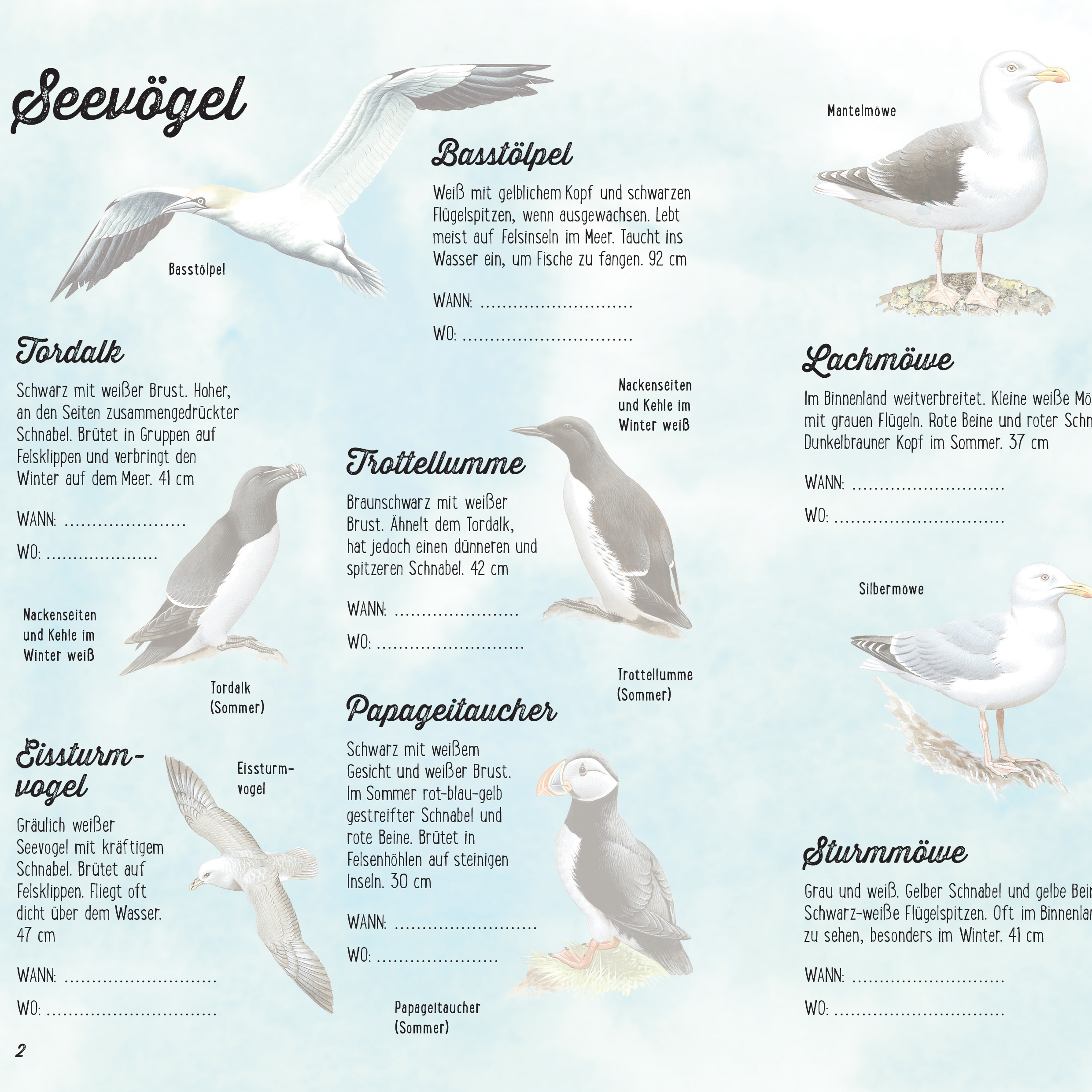 Sticker-Wissen Natur: 